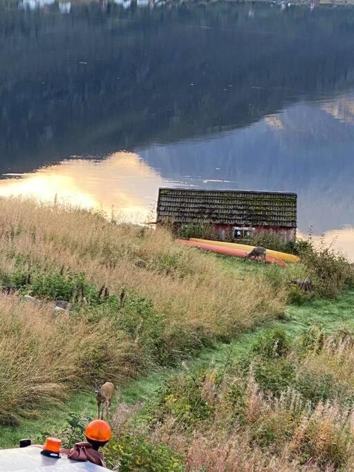 Sjarmerende Anneks I Sigerfjord, Vesteralen Sortland